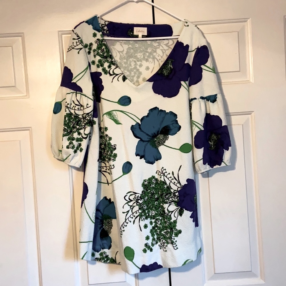 Anthropologie Gorgeous floral dress